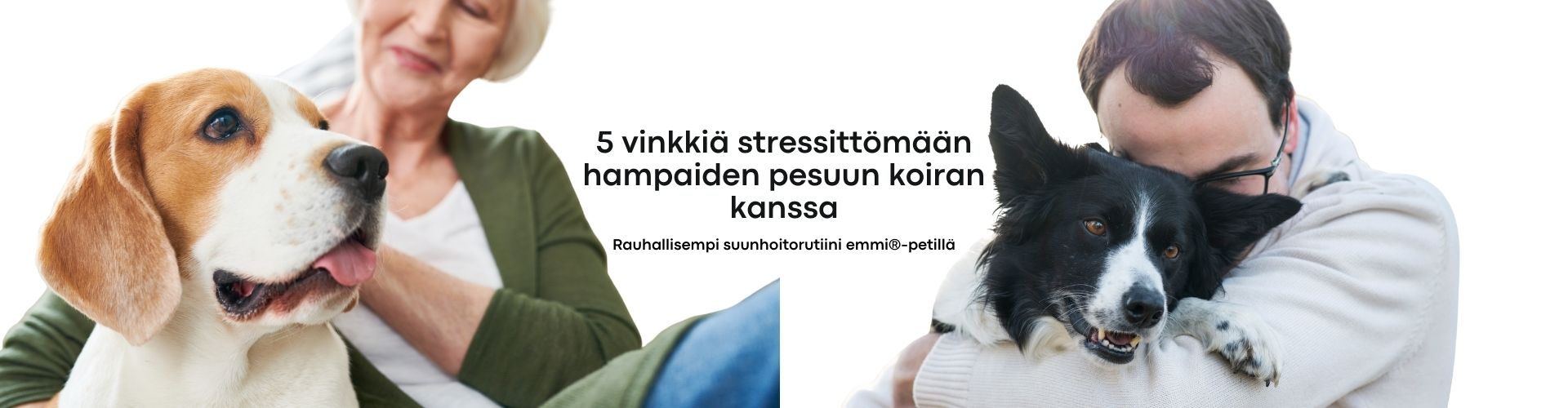 Rauhallisempi hampaiden pesu koiran kanssa