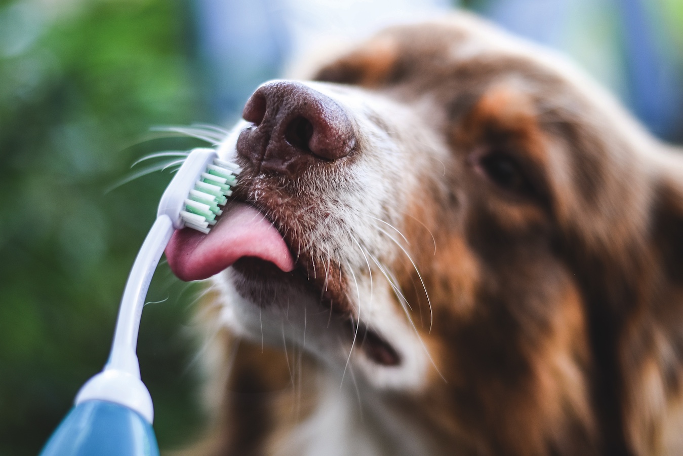 Ultraäänihammasharja puhdistaa hellävaraisesti ilman harjausta
