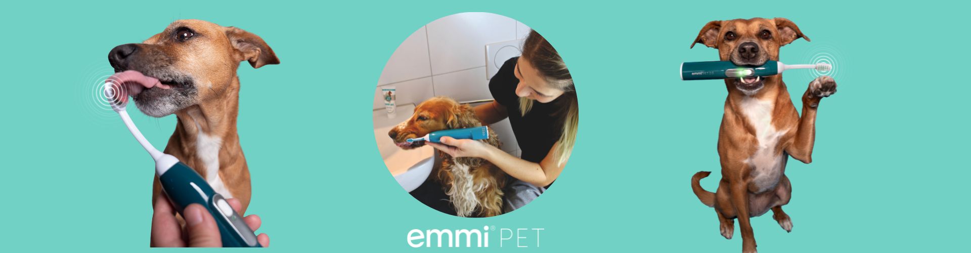 Miten koirien emmi-pet Ultraäänihammasharja toimii käytännössä