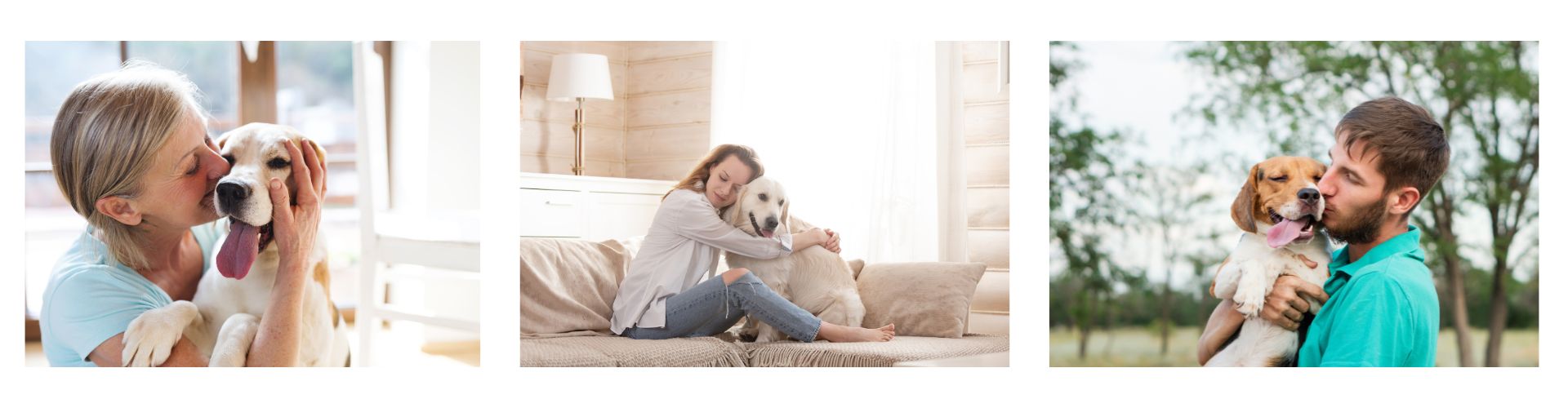 Säännöllisellä rutiinilla hampaiden pesu onnistuu lemmikin kanssa